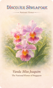 Vanda Miss Joaquim fridge magnet